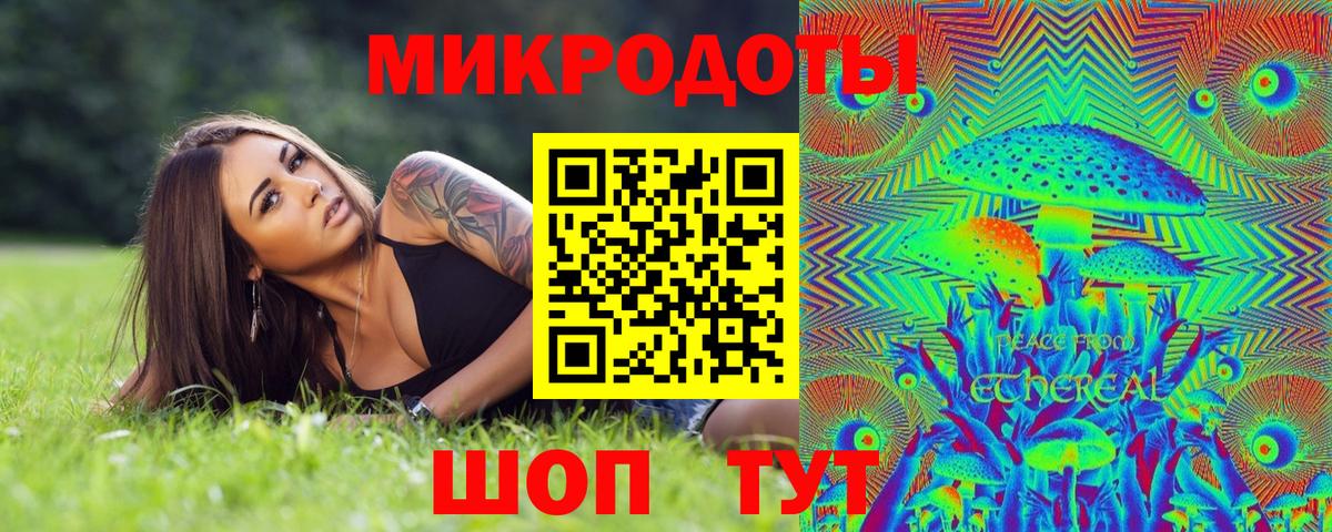 Псилоцибиновые грибы Psilocybine cubensis Чапаевск