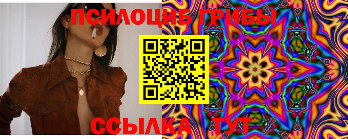 Псилоцибиновые грибы Psilocybe  Вход с VPN  Чапаевск 